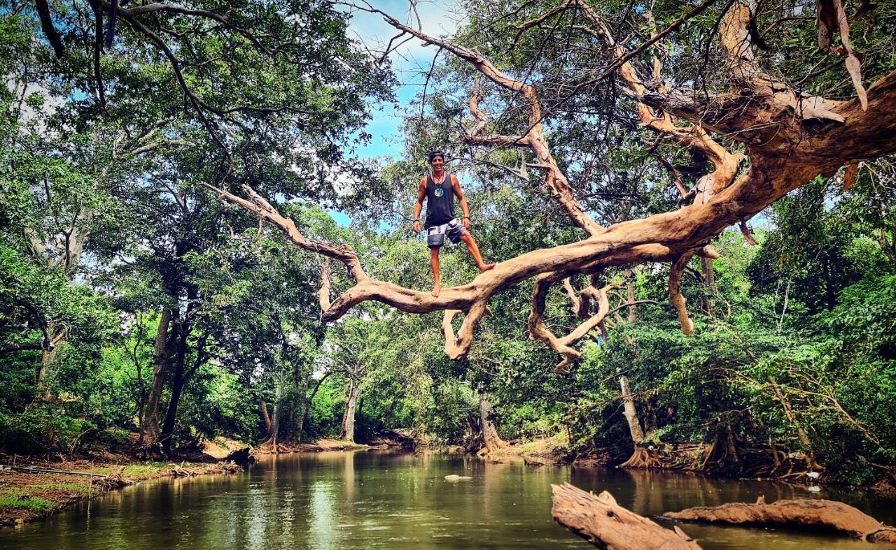 Humbhaha Jungle Yala Nature Eco Resort Kataragama Ngoại thất bức ảnh