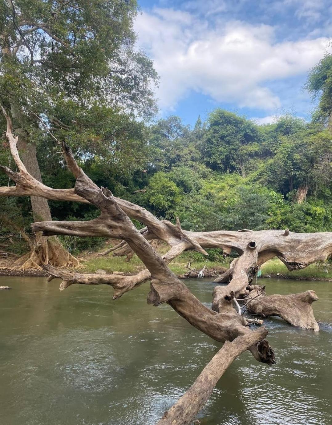 Humbhaha Jungle Yala Nature Eco Resort Kataragama Ngoại thất bức ảnh