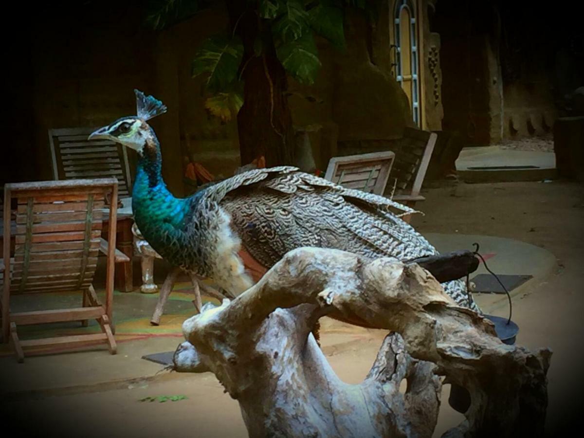 Humbhaha Jungle Yala Nature Eco Resort Kataragama Ngoại thất bức ảnh